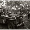 mg 437